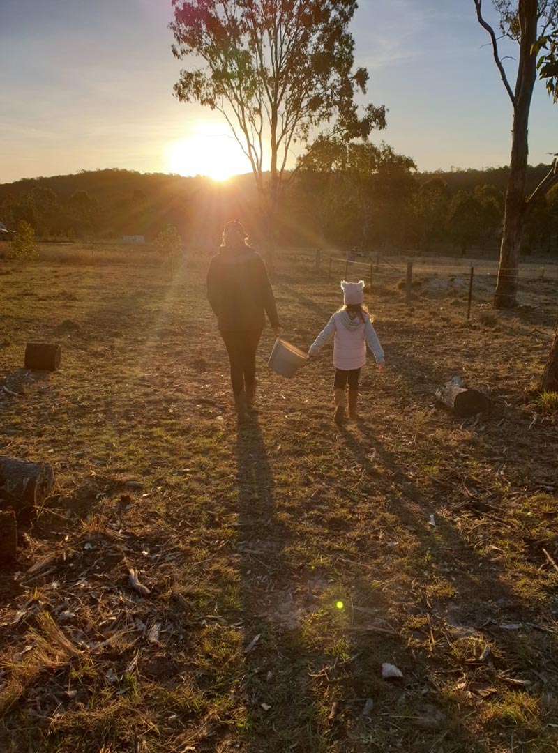 Farm-Stay2 Farm Stay