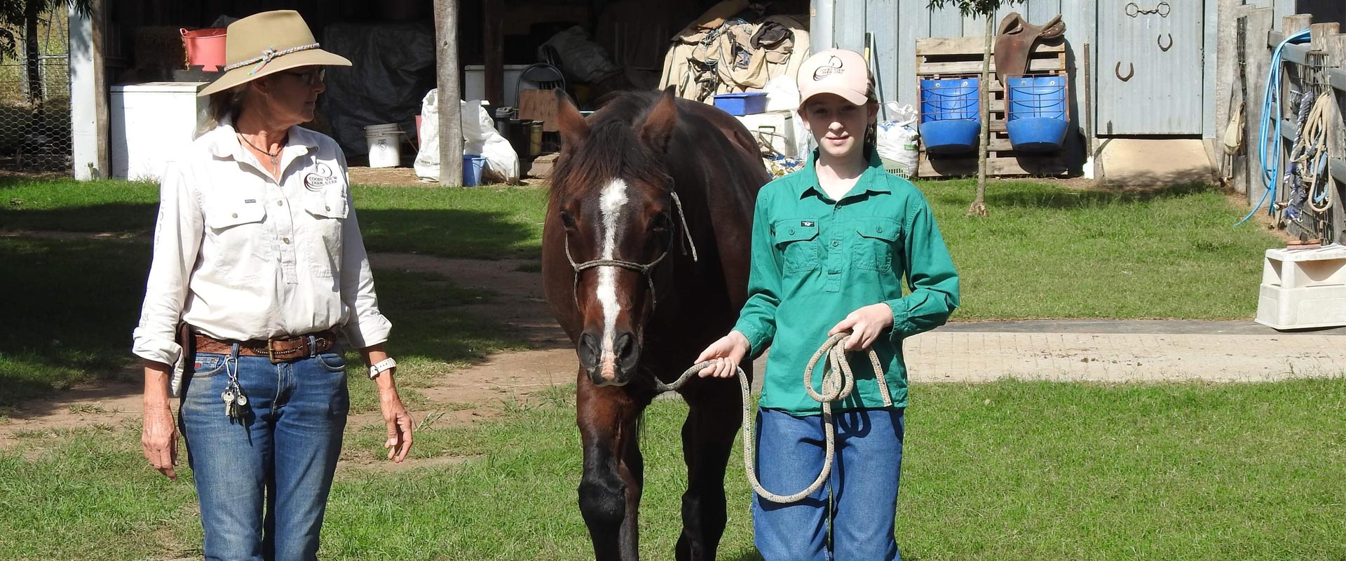 HorseExperience10 Horse Lead Work