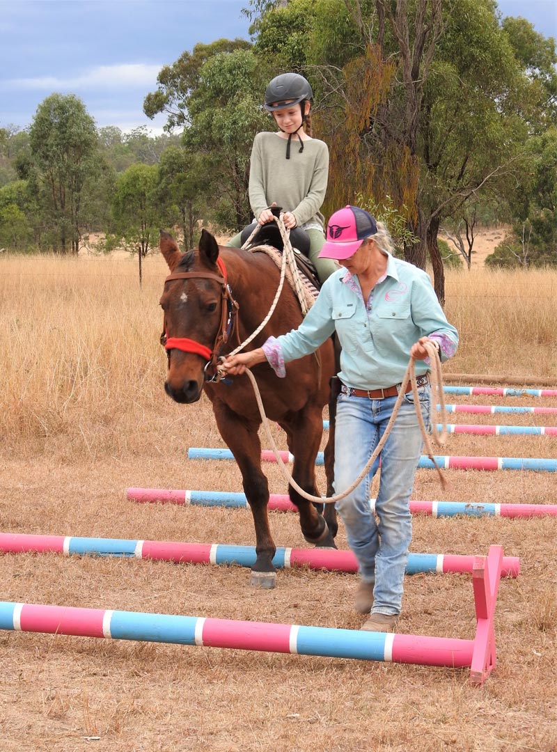 HorseExperience11 Horse Experience